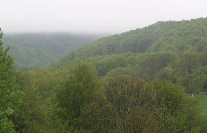 13230157_619820044836092_6360328269196644727_n