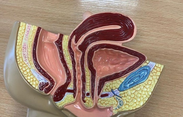 MicrosoftTeams-image (20)