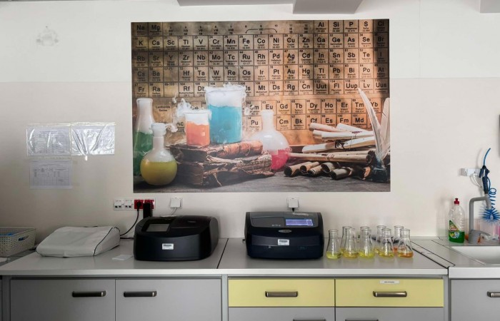 462563923_900387115386231_3045142031215895425_n