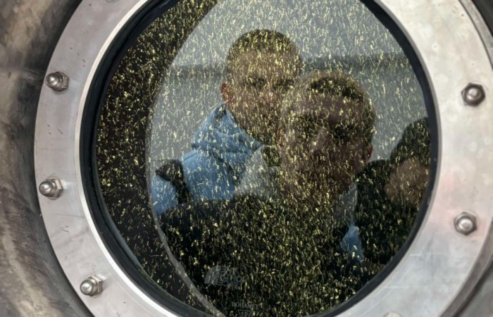 462552429_1749277722541402_7458408860499266027_n