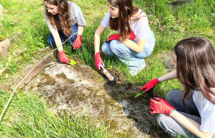 IMG_20250423_102532253_HDR