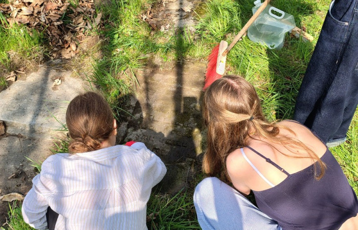 IMG_20250423_102619532_HDR