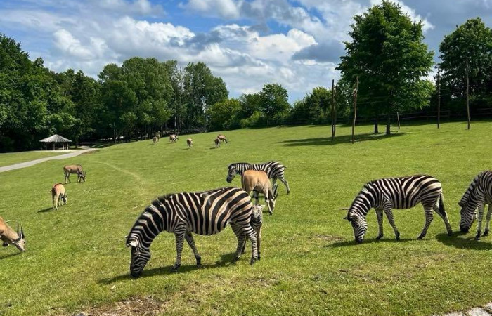 500765424_1262739342527407_538797833909978437_n